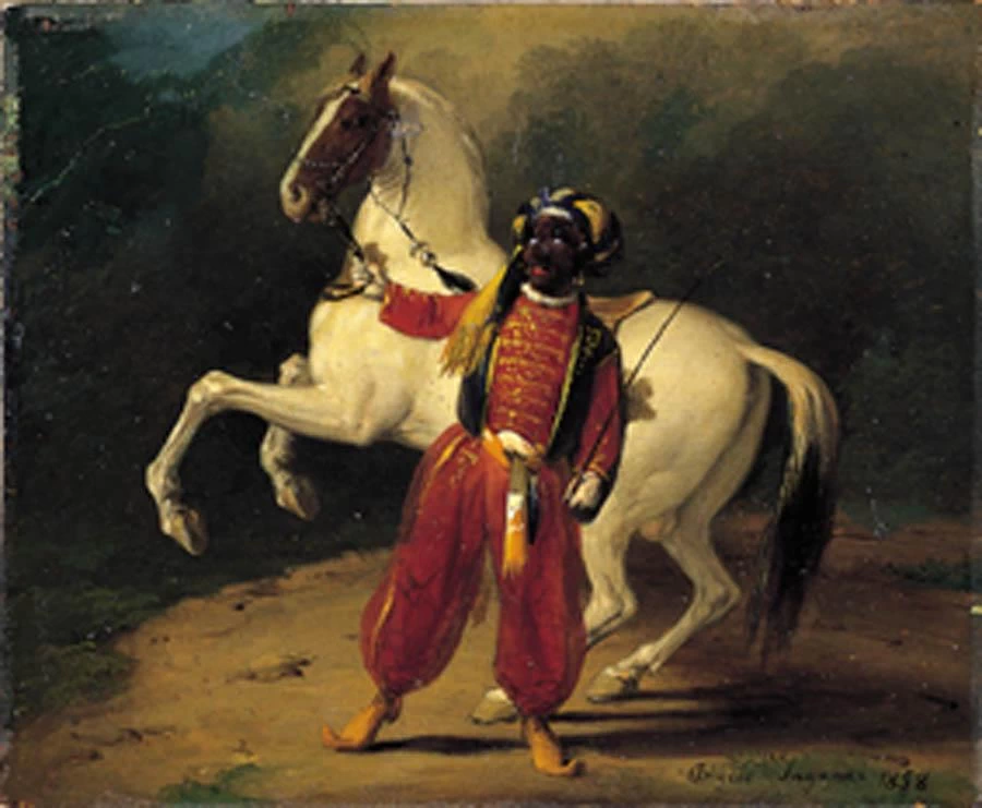136-domatore arabo 
